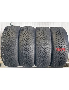 Firestone Winterhawk  4  225/50/18  99 V XL  M+S  (1079)